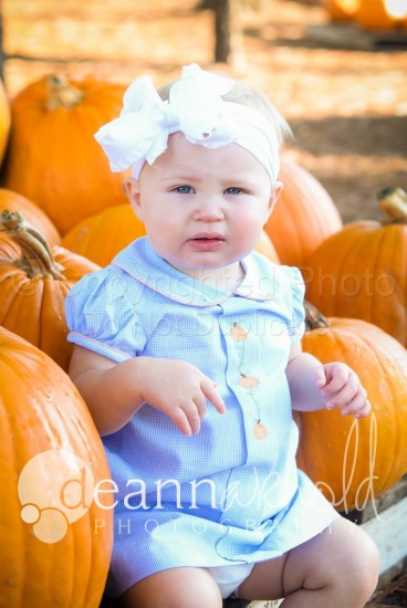 Wood Pumpkin Patch