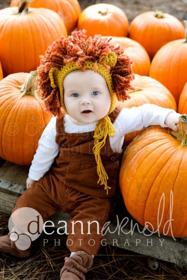 Harry Smith Pumpkin Patch